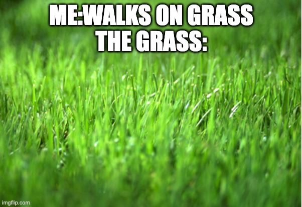 GRASS | ME:WALKS ON GRASS

THE GRASS: | image tagged in grass is greener | made w/ Imgflip meme maker