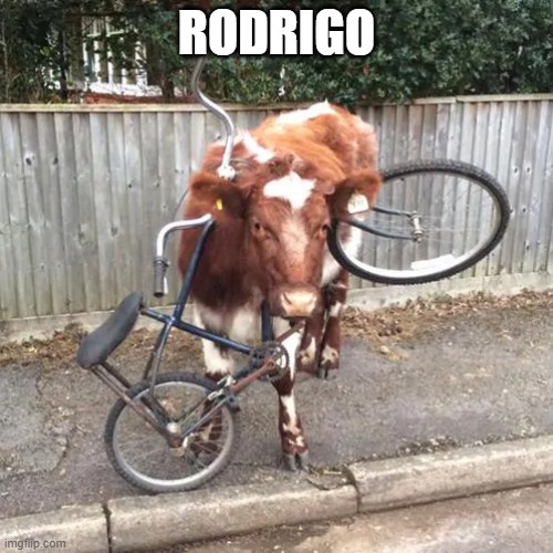 Rodrigo | RODRIGO | image tagged in tag | made w/ Imgflip meme maker