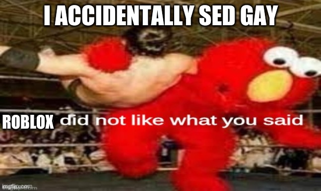 elmo did not like what you said | I ACCIDENTALLY SED GAY; ROBLOX | image tagged in elmo did not like what you said | made w/ Imgflip meme maker