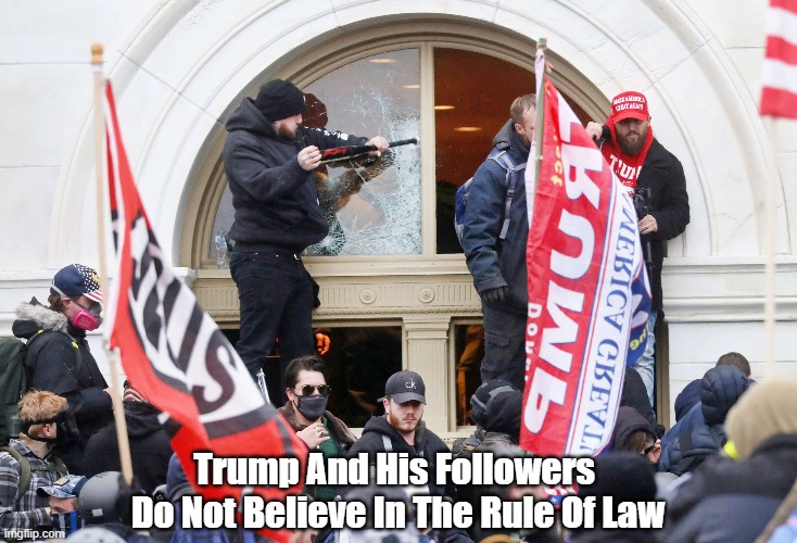 "Trump And His Followers Do Not Believe In The..." | Trump And His Followers 
Do Not Believe In The Rule Of Law | image tagged in trump,insurrection,trump cult,rule of law | made w/ Imgflip meme maker
