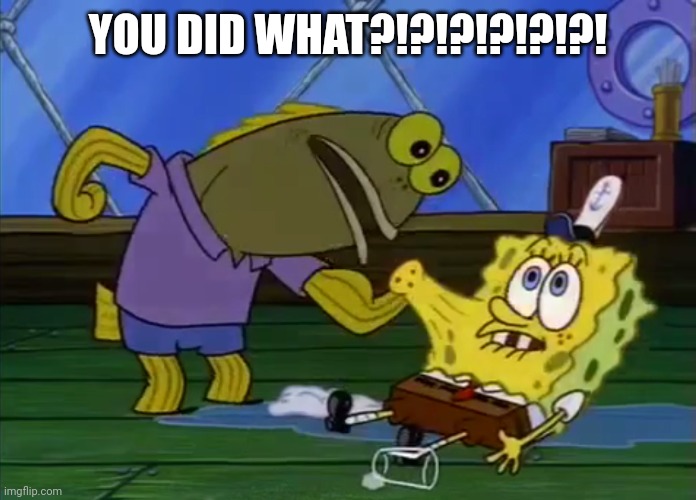 you did what | YOU DID WHAT?!?!?!?!?!?! | image tagged in you did what | made w/ Imgflip meme maker