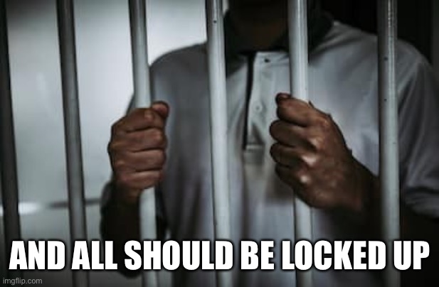 Behind bars | AND ALL SHOULD BE LOCKED UP | image tagged in behind bars | made w/ Imgflip meme maker