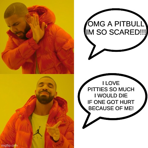 OMG A PITBULL IM SO SCARED!!! I LOVE PITTIES SO MUCH I WOULD DIE IF ONE GOT HURT BECAUSE OF ME! | image tagged in memes,drake hotline bling | made w/ Imgflip meme maker