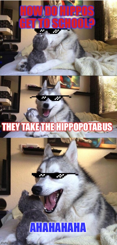 Hippopotabus | image tagged in bad pun dog,pun dog - husky,husky,bus,hippo | made w/ Imgflip meme maker