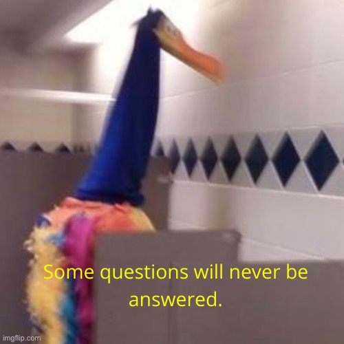 Some questions will never be answered | image tagged in some questions will never be answered | made w/ Imgflip meme maker
