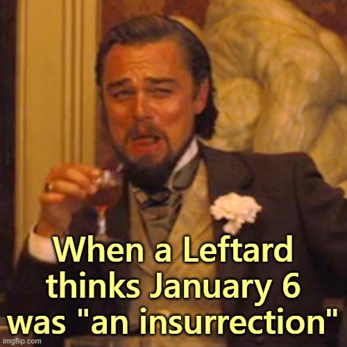 Laughing Leo Meme | When a Leftard thinks January 6 was "an insurrection" | image tagged in memes,laughing leo | made w/ Imgflip meme maker