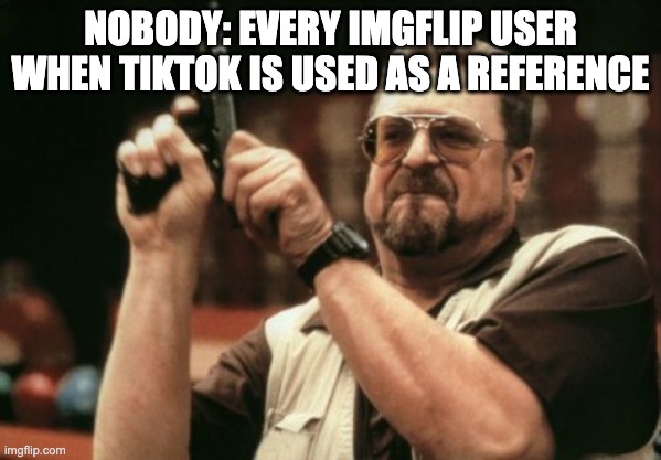 Am I The Only One Around Here | NOBODY: EVERY IMGFLIP USER WHEN TIKTOK IS USED AS A REFERENCE | image tagged in memes,am i the only one around here | made w/ Imgflip meme maker