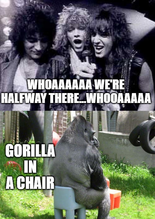 Living on a Prayer | WHOAAAAAA WE'RE HALFWAY THERE...WHOOAAAAA; GORILLA IN A CHAIR | image tagged in halfway there,musicmemes | made w/ Imgflip meme maker