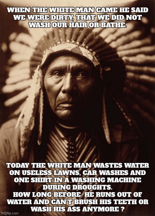 save water so you can wash your ass | image tagged in native american,bath,shower,ass,water,drought | made w/ Imgflip meme maker