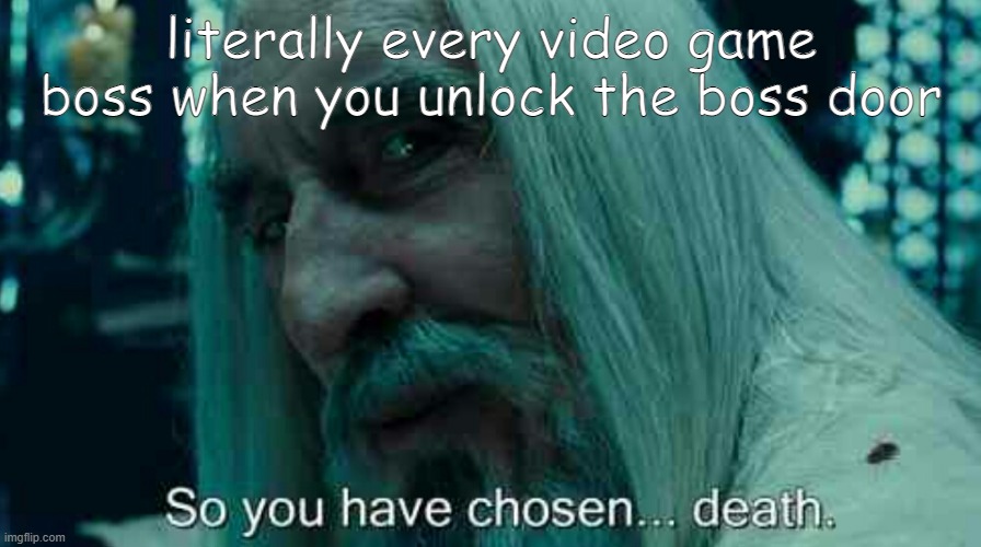 trrrrrrrrrrrrue | literally every video game boss when you unlock the boss door | image tagged in so you have chosen death | made w/ Imgflip meme maker