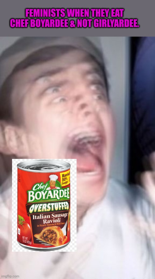 I mean... I'm not wrong | FEMINISTS WHEN THEY EAT CHEF BOYARDEE & NOT GIRLYARDEE. | image tagged in freaking out,feminist,pasta,he's right you know | made w/ Imgflip meme maker