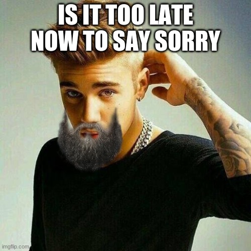 Justin Bieber | IS IT TOO LATE NOW TO SAY SORRY | image tagged in justin bieber | made w/ Imgflip meme maker
