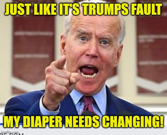 Joe Biden no malarkey | JUST LIKE IT'S TRUMPS FAULT MY DIAPER NEEDS CHANGING! | image tagged in joe biden no malarkey | made w/ Imgflip meme maker