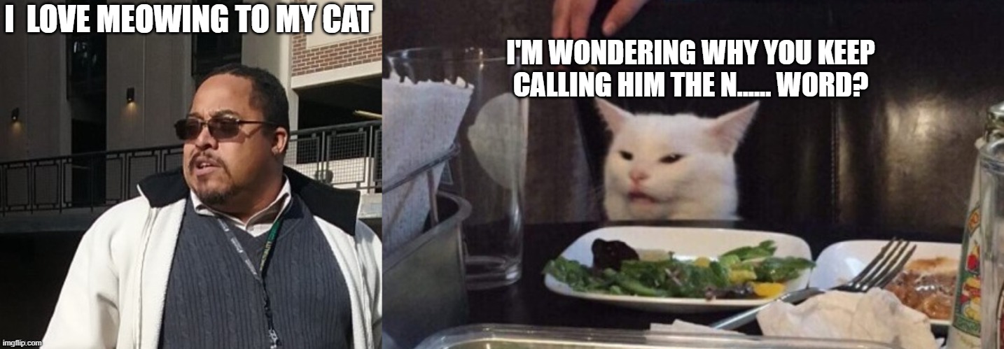 Matthew Thompson | I  LOVE MEOWING TO MY CAT; I'M WONDERING WHY YOU KEEP CALLING HIM THE N...... WORD? | image tagged in funny,matthew thompson | made w/ Imgflip meme maker