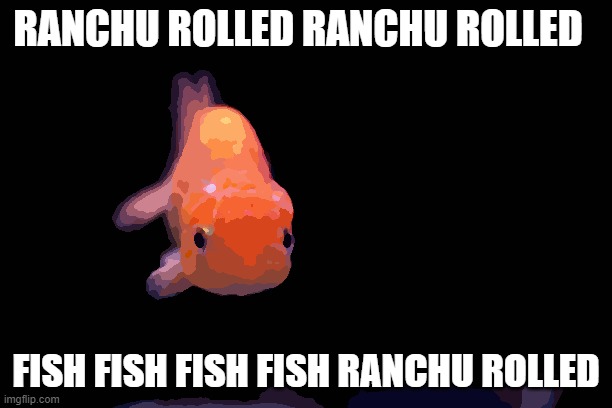 fishfry | RANCHU ROLLED RANCHU ROLLED; FISH FISH FISH FISH RANCHU ROLLED | image tagged in fishfry | made w/ Imgflip meme maker