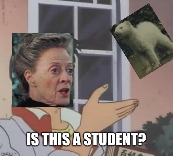 McGonagall | IS THIS A STUDENT? | image tagged in memes,is this a pigeon | made w/ Imgflip meme maker