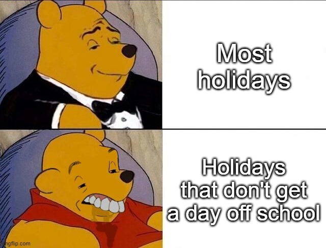 Tuxedo Winnie the Pooh grossed reverse | Most holidays; Holidays that don't get a day off school | image tagged in tuxedo winnie the pooh grossed reverse,school sucks | made w/ Imgflip meme maker