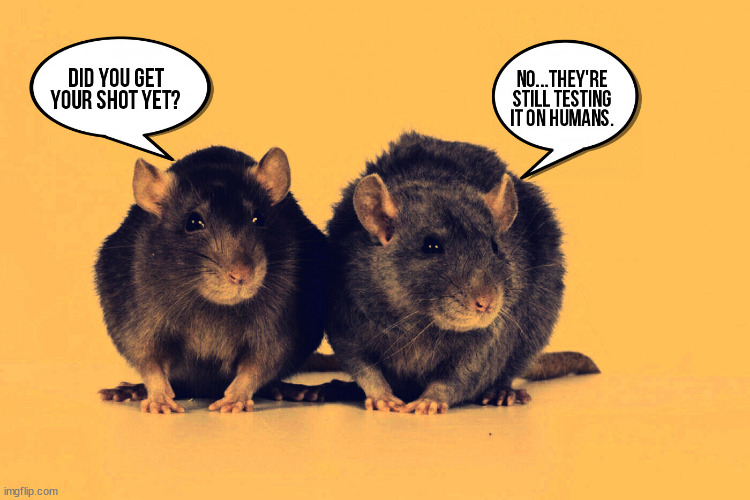 Animal testing? | image tagged in covid,vaccines,coronavirus,china,drugs | made w/ Imgflip meme maker