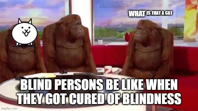 what will happen if there was a cure for blindness | IS THAT A CAT; WHAT; BLIND PERSONS BE LIKE WHEN THEY GOT CURED OF BLINDNESS | image tagged in where banana | made w/ Imgflip meme maker