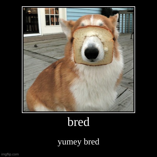 Bred | image tagged in funny,demotivationals,bread,doge,funny dogs | made w/ Imgflip demotivational maker