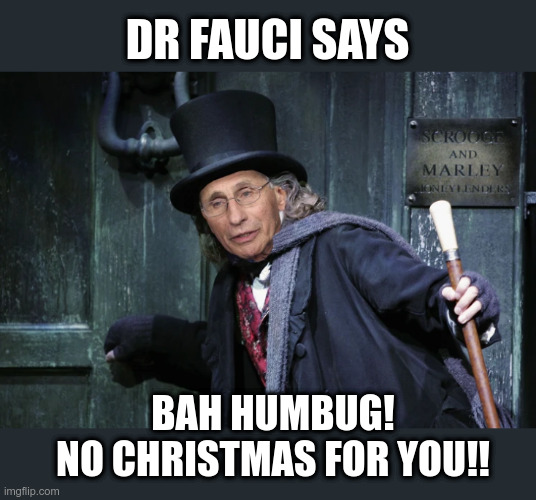 DR Fauci has made the decision for you | DR FAUCI SAYS; BAH HUMBUG!
NO CHRISTMAS FOR YOU!! | image tagged in christmas,dr fauci,bah humbug,political meme,scrooge | made w/ Imgflip meme maker