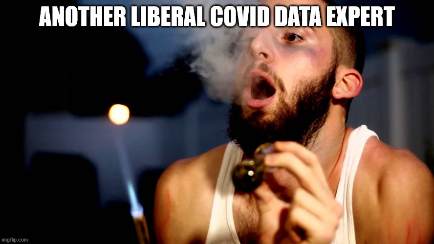 Liberal Data Expert | ANOTHER LIBERAL COVID DATA EXPERT | image tagged in stupid liberals | made w/ Imgflip meme maker