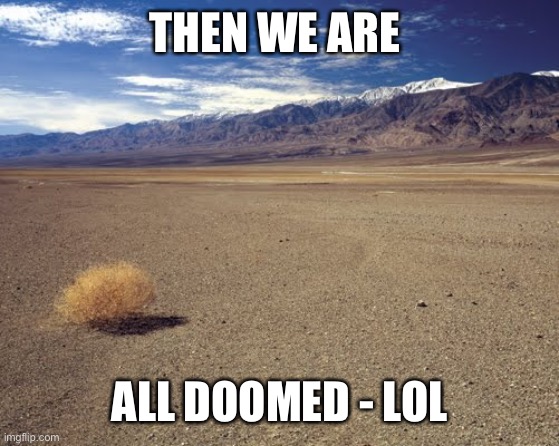 desert tumbleweed | THEN WE ARE ALL DOOMED - LOL | image tagged in desert tumbleweed | made w/ Imgflip meme maker