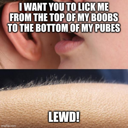You press my button and I'll press yours | I WANT YOU TO LICK ME FROM THE TOP OF MY BOOBS TO THE BOTTOM OF MY PUBES; LEWD! | image tagged in whisper and goosebumps | made w/ Imgflip meme maker