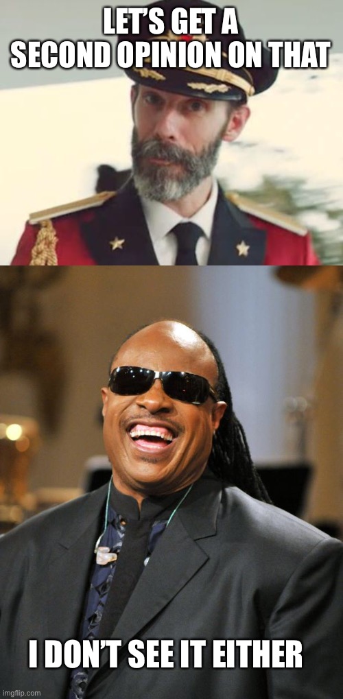 LET’S GET A SECOND OPINION ON THAT I DON’T SEE IT EITHER | image tagged in captain obvious,stevie wonder | made w/ Imgflip meme maker