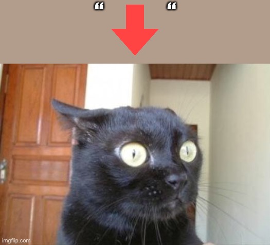 Upvote beggars reaction to downvote | “              “ | image tagged in cannot be unseen cat | made w/ Imgflip meme maker