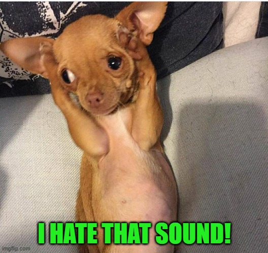 Dog covers ears | I HATE THAT SOUND! | image tagged in dog covers ears | made w/ Imgflip meme maker