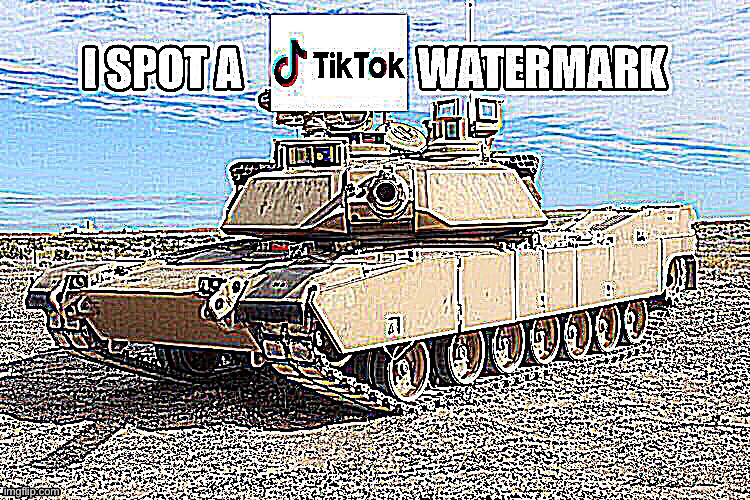 TIKTOK WATERMARK SPOTTED | image tagged in tiktok sucks,memes | made w/ Imgflip meme maker