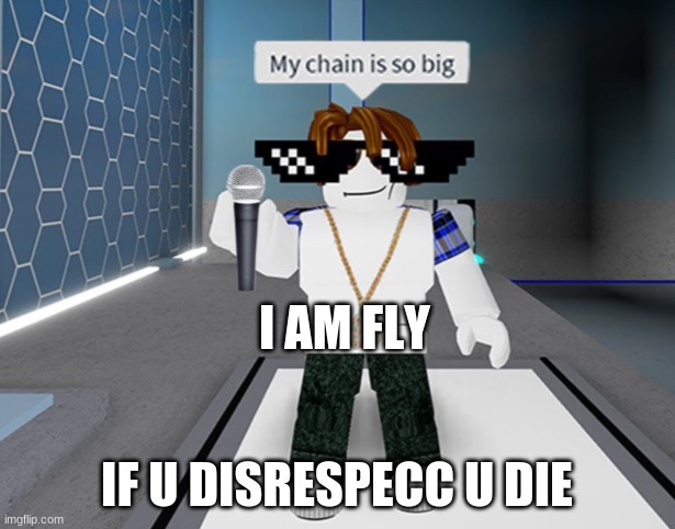 LETS PRO | I AM FLY; IF U DISRESPECC U DIE | image tagged in sebee,memes | made w/ Imgflip meme maker