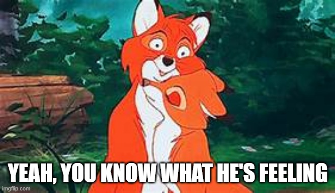 What Does the Fox Feel? | YEAH, YOU KNOW WHAT HE'S FEELING | image tagged in funny cartoon | made w/ Imgflip meme maker