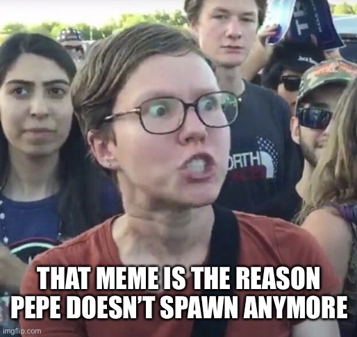 Goodbye Pepe | THAT MEME IS THE REASON PEPE DOESN’T SPAWN ANYMORE | image tagged in triggered feminist | made w/ Imgflip meme maker