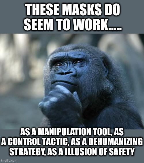 The Masks Are Working | THESE MASKS DO SEEM TO WORK..... AS A MANIPULATION TOOL, AS A CONTROL TACTIC, AS A DEHUMANIZING STRATEGY, AS A ILLUSION OF SAFETY | image tagged in deep thoughts,masks,political meme,manipulation,illusion | made w/ Imgflip meme maker