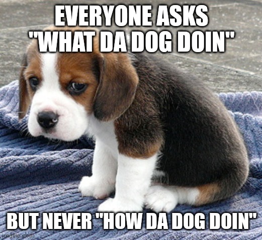 *sad dog noises | EVERYONE ASKS "WHAT DA DOG DOIN"; BUT NEVER "HOW DA DOG DOIN" | image tagged in sad dog | made w/ Imgflip meme maker