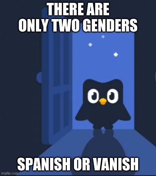 Duolingo bird | THERE ARE ONLY TWO GENDERS; SPANISH OR VANISH | image tagged in duolingo bird | made w/ Imgflip meme maker