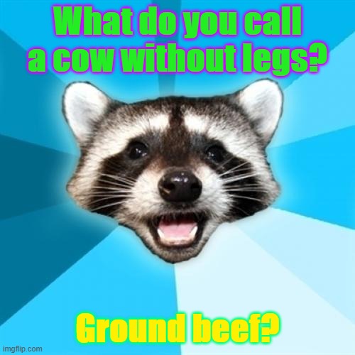 Lame Pun Coon Meme |  What do you call a cow without legs? Ground beef? | image tagged in memes,lame pun coon | made w/ Imgflip meme maker