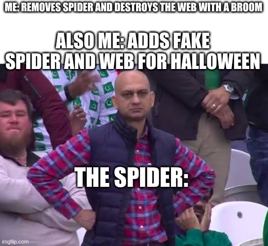 the spider: | ME: REMOVES SPIDER AND DESTROYS THE WEB WITH A BROOM; ALSO ME: ADDS FAKE SPIDER AND WEB FOR HALLOWEEN; THE SPIDER: | image tagged in disappointed man,memes | made w/ Imgflip meme maker