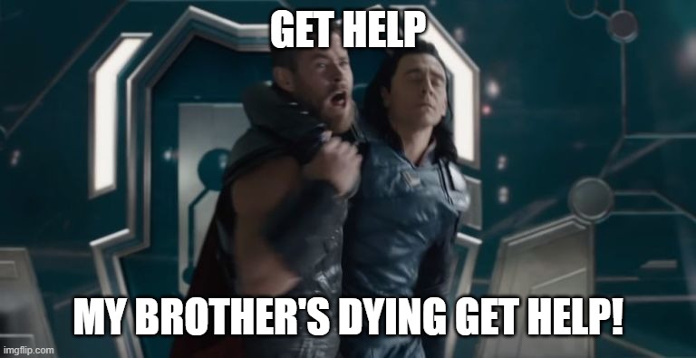 Get Help | GET HELP MY BROTHER'S DYING GET HELP! | image tagged in get help | made w/ Imgflip meme maker