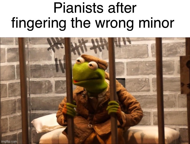 A minor | Pianists after fingering the wrong minor | image tagged in kermit in jail | made w/ Imgflip meme maker