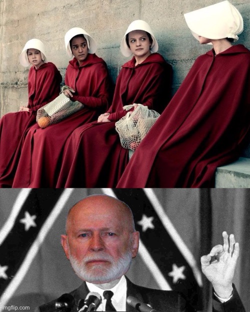 The corRUPt Police of Vice and Virtue want to make the Handmaid’s Tale a reality. Reject corRUPtion, return to Common Sense | image tagged in handmaiden's tale,george wallace approves | made w/ Imgflip meme maker