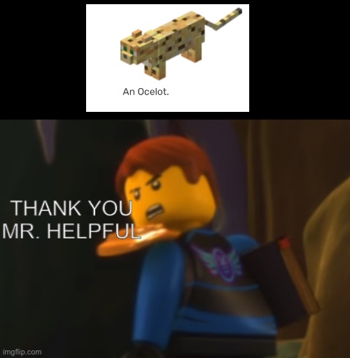 we know | image tagged in thank you mr helpful,cats,minecraft,thank you,bruh,dude | made w/ Imgflip meme maker