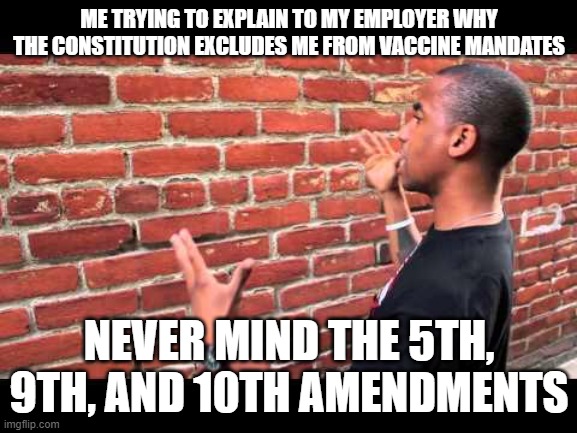 But I'll lose my job if I don't get the shot. |  ME TRYING TO EXPLAIN TO MY EMPLOYER WHY THE CONSTITUTION EXCLUDES ME FROM VACCINE MANDATES; NEVER MIND THE 5TH, 9TH, AND 10TH AMENDMENTS | image tagged in brick wall guy,covid vaccine,big government,democratic socialism,human rights | made w/ Imgflip meme maker