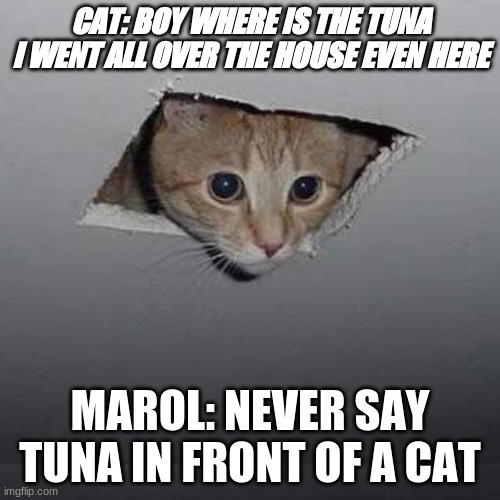 Ceiling Cat Meme | CAT: BOY WHERE IS THE TUNA I WENT ALL OVER THE HOUSE EVEN HERE; MAROL: NEVER SAY TUNA IN FRONT OF A CAT | image tagged in memes,ceiling cat | made w/ Imgflip meme maker