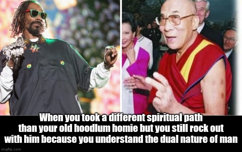 Lama & Snoop | When you took a different spiritual path than your old hoodlum homie but you still rock out with him because you understand the dual nature of man | image tagged in funny | made w/ Imgflip meme maker