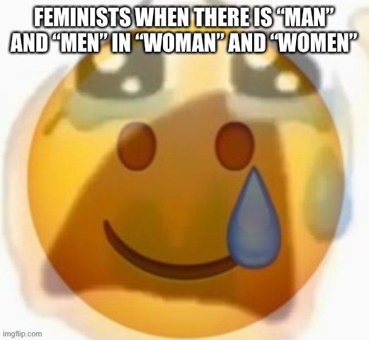 Pain | FEMINISTS WHEN THERE IS “MAN” AND “MEN” IN “WOMAN” AND “WOMEN” | image tagged in pain | made w/ Imgflip meme maker
