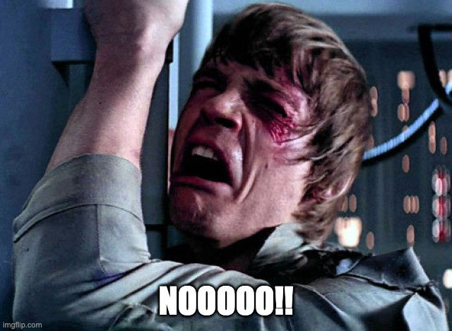 Nooo | NOOOOO!! | image tagged in nooo | made w/ Imgflip meme maker