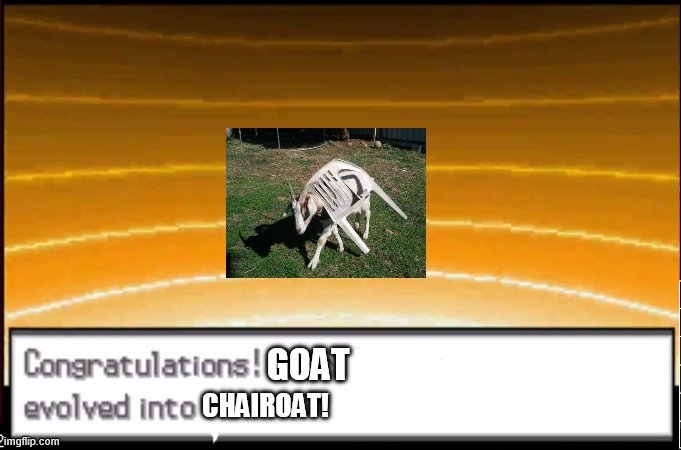 Congratulation your pokemon | GOAT CHAIROAT! | image tagged in congratulation your pokemon | made w/ Imgflip meme maker